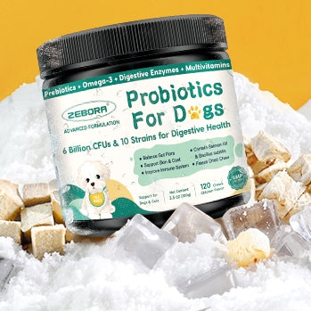 Signs Your Dog Might Need Probiotics and How to Choose the Right One ...