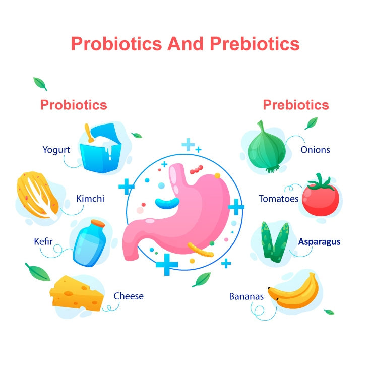 What is the Difference Between Probiotics and Prebiotics