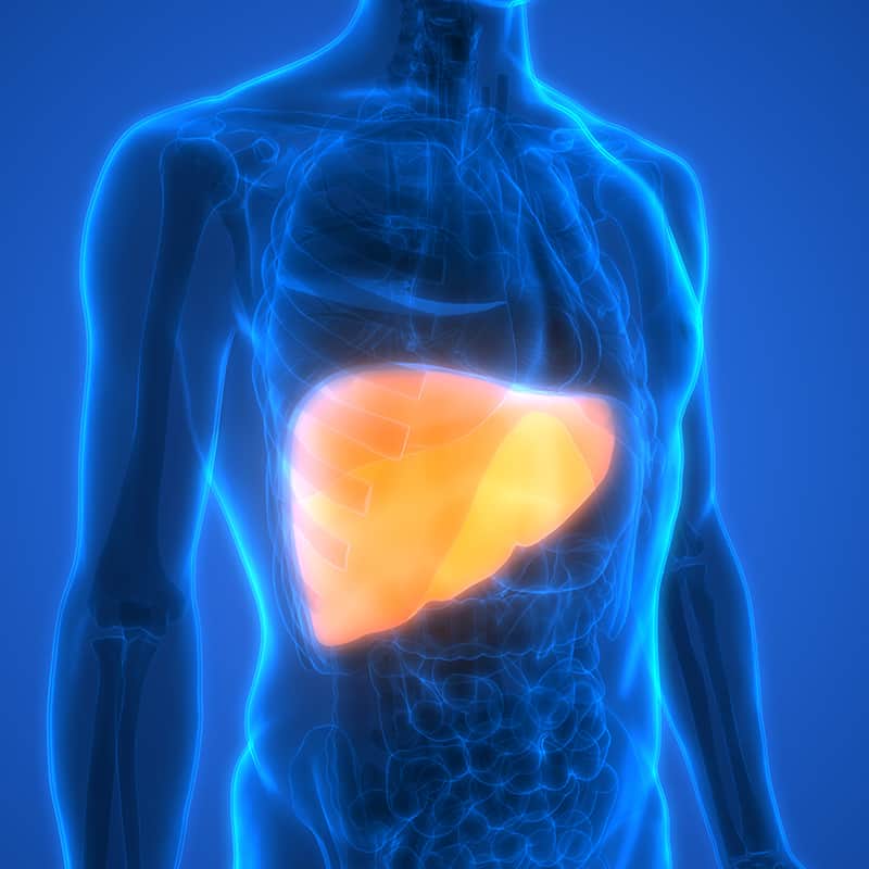 Comprehensive Analysis of Liver Function Tests: 6 Key Indicators You Must Know