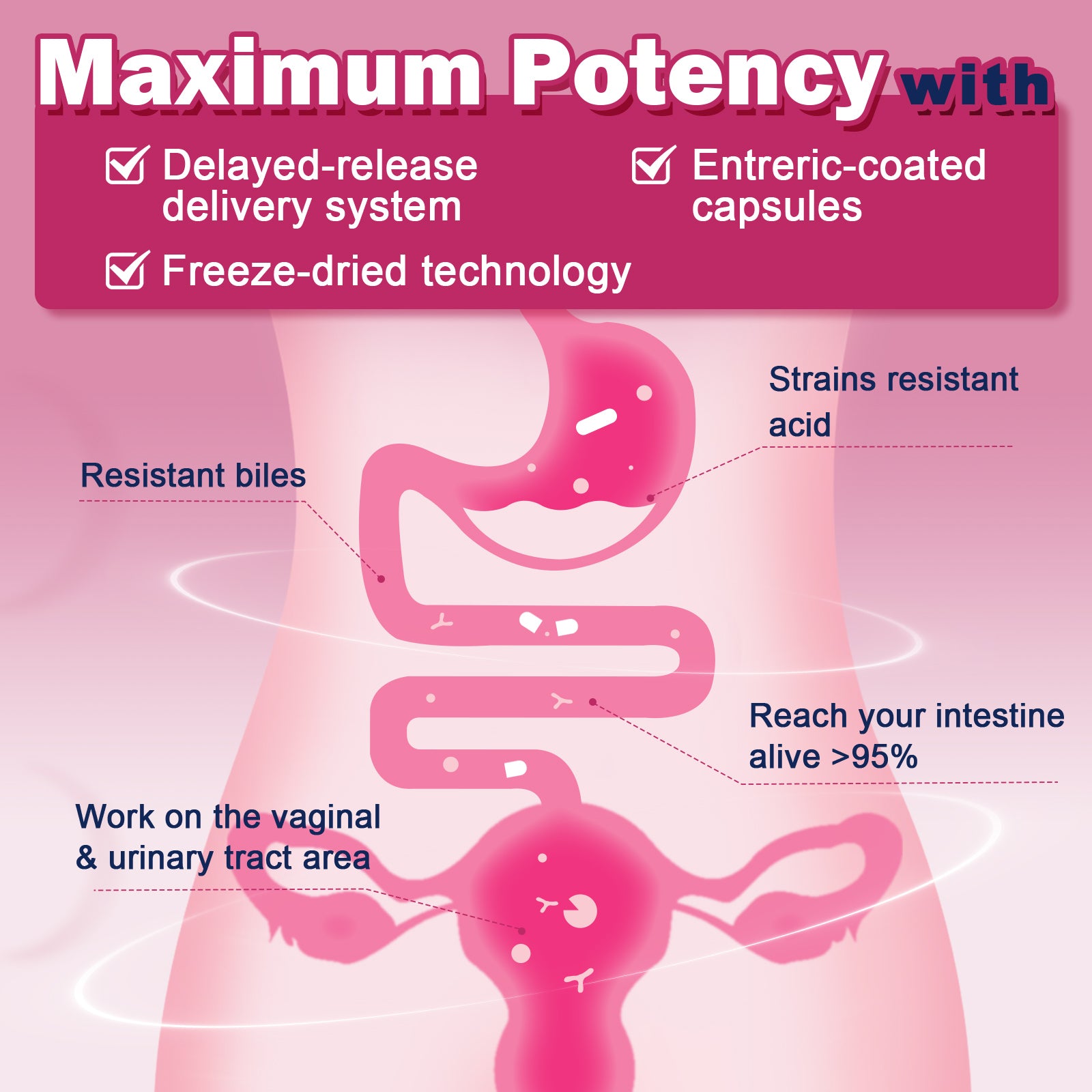 100B Women’s Probiotic for Vaginal pH, Digestive & Urinary Health with Cranberry & Prebiotics, 90 Cap