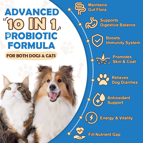 Probiotics for Dogs, Probiotic Powder with Pumpkin, Prebiotics & Digestive Enzymes, 6 Billion CFUs Dog Probiotics for Digestive Health, Gut & Immune Health, Chicken Flavor, 90 Scoops