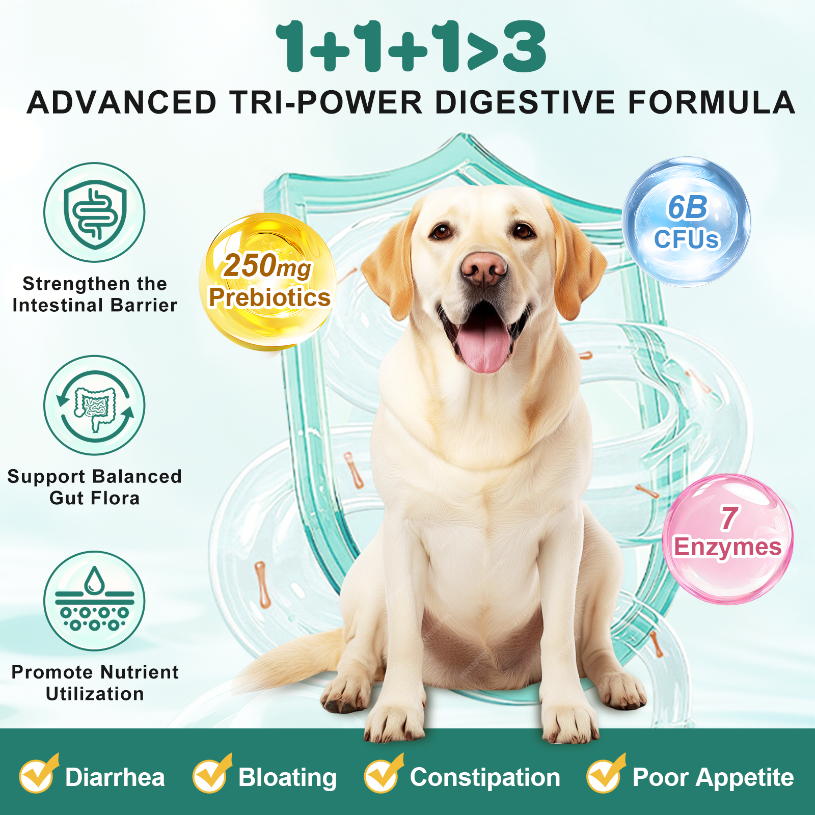 Probiotics for Dogs, Dog Probiotics with Digestive Enzymes, Prebiotics, Omega-3 & 6 and Vitamin for Dogs Digestive Health, 6 Billion CFUs, 180 Freeze-Dried Chews