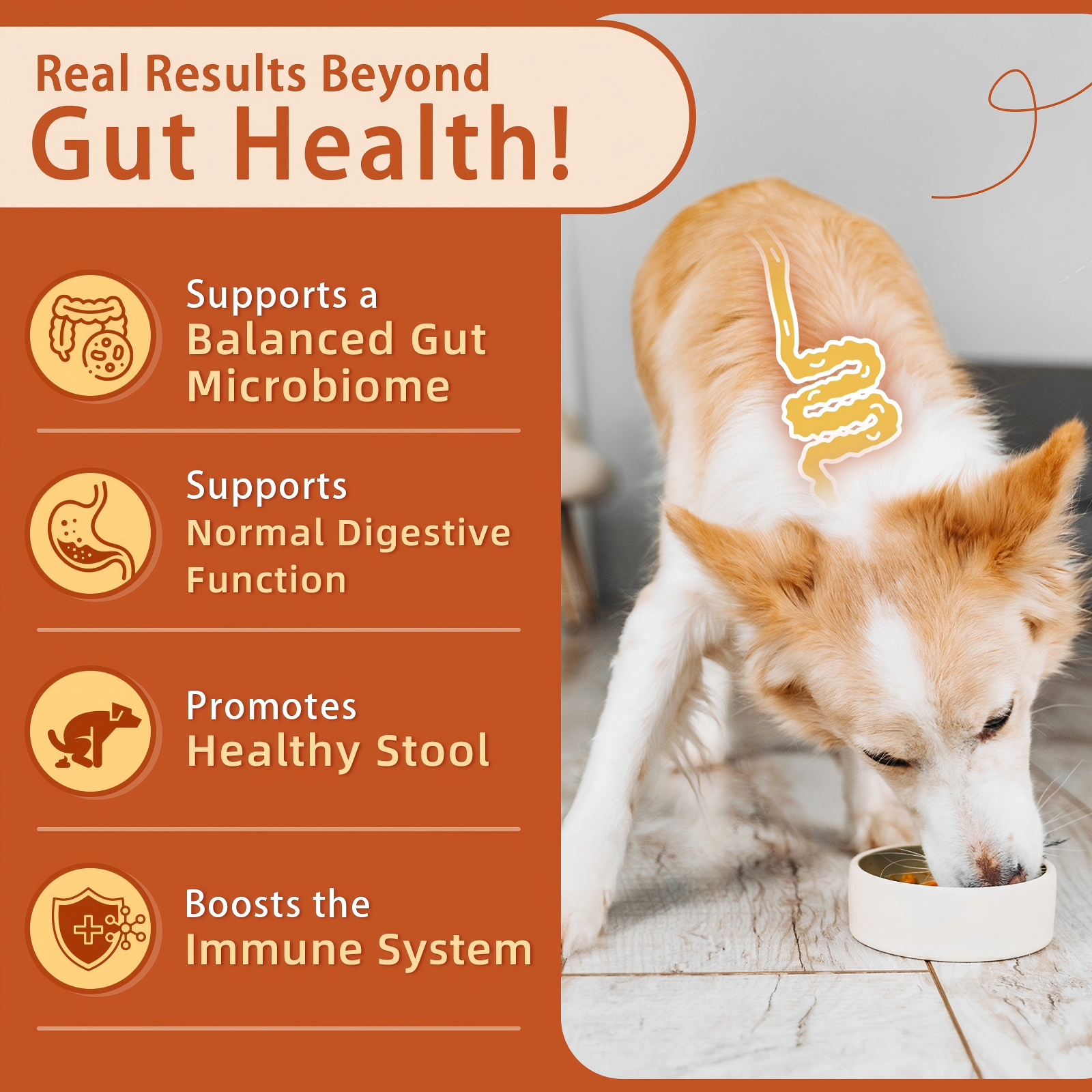 Probiotics for Dogs - Dog Probiotics, Pumpkin for Digestive & Gut Health, Digestive Enzymes & Prebiotic for Occasional Diarrhea, Support Immune, Skin & Allergies, 120 Soft Chews, Pumpkin Flavor