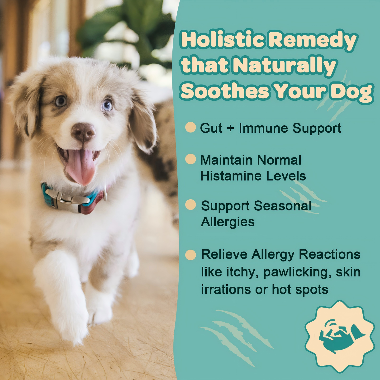 Probiotics for Dogs, with Colostrum, Omega-3, Dog Allergy Relief & Itching Skin Relief, Support Itchy Ears, Seasonal Allergies, Digestive, Immune Health, 90 Scoops, Chicken Flavor