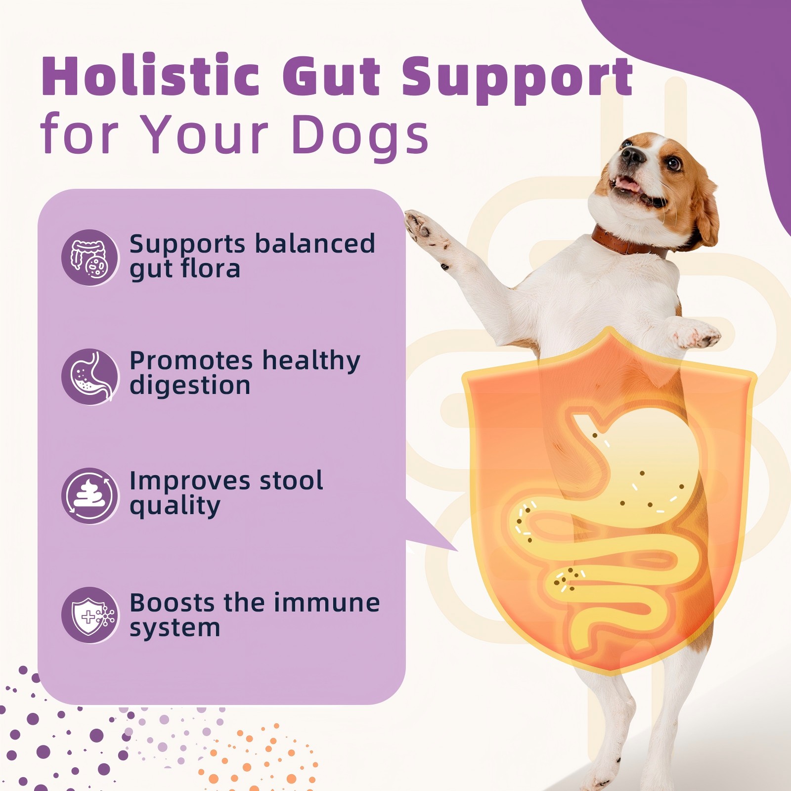 Dog Probiotics for Digestive Health, with Pumpkin, Digestive Enzymes, Omega-3, Support Gut, Immune Health, Upset Stomach Relief, 120 Freeze Dried Chews