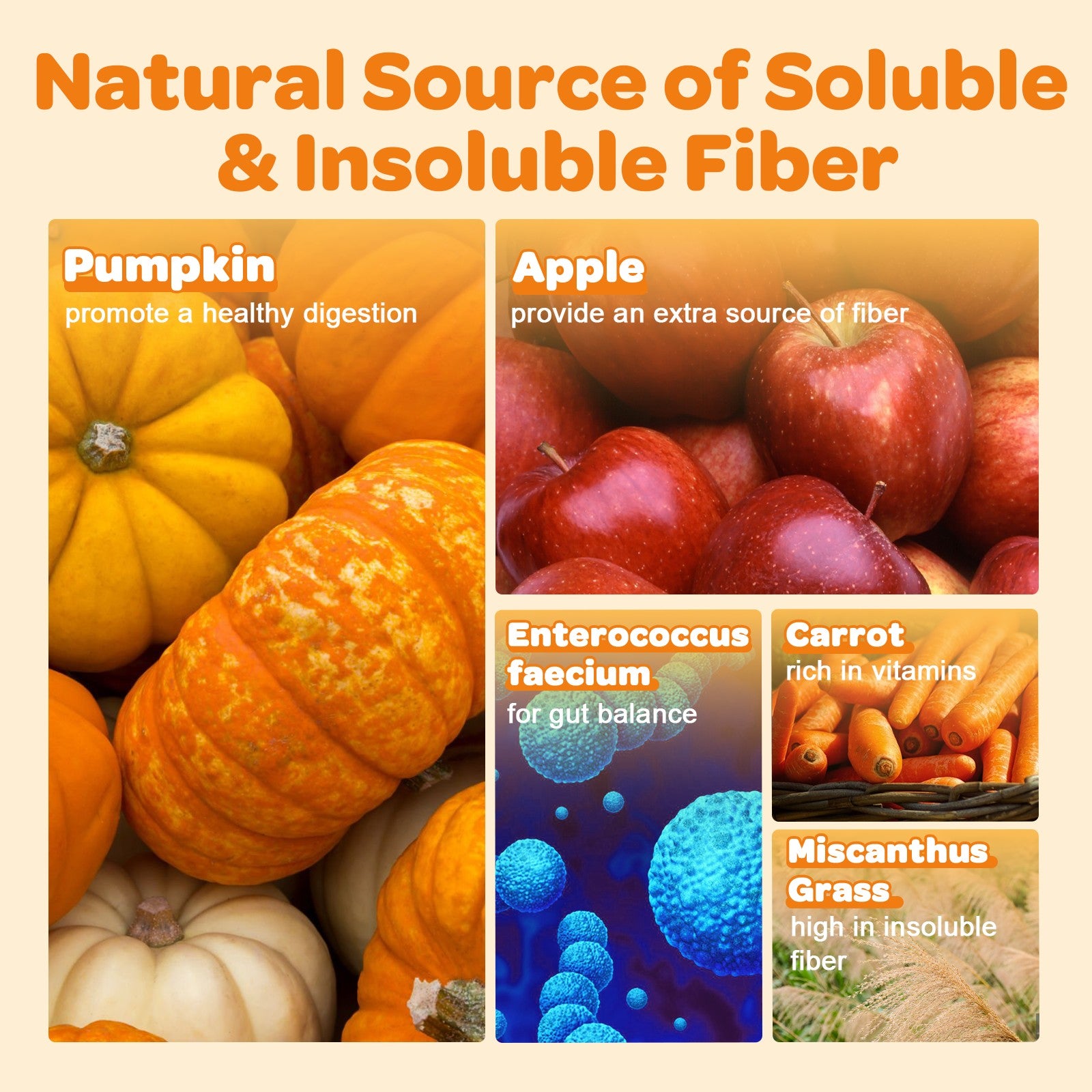Pumpkin Fiber Mix for Dogs & Cats – Digestive Support – 10.58 oz - ZEBORA