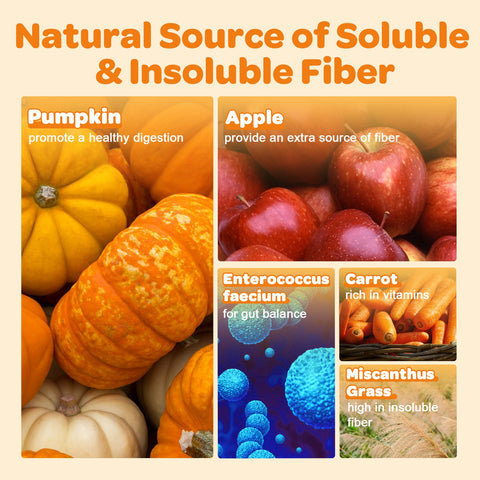 Pumpkin Fiber Mix for Dogs & Cats – Digestive Support – 10.58 oz - ZEBORA