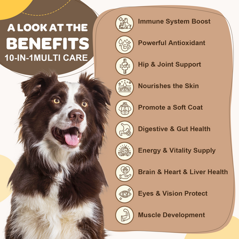 Dog Multivitamin with Probiotics - Multivitamin for Dogs with Glucosamine, Omega 3 and Probiotics for Dogs Digestion, Immunity, Joint, Skin and Coat - 180ct