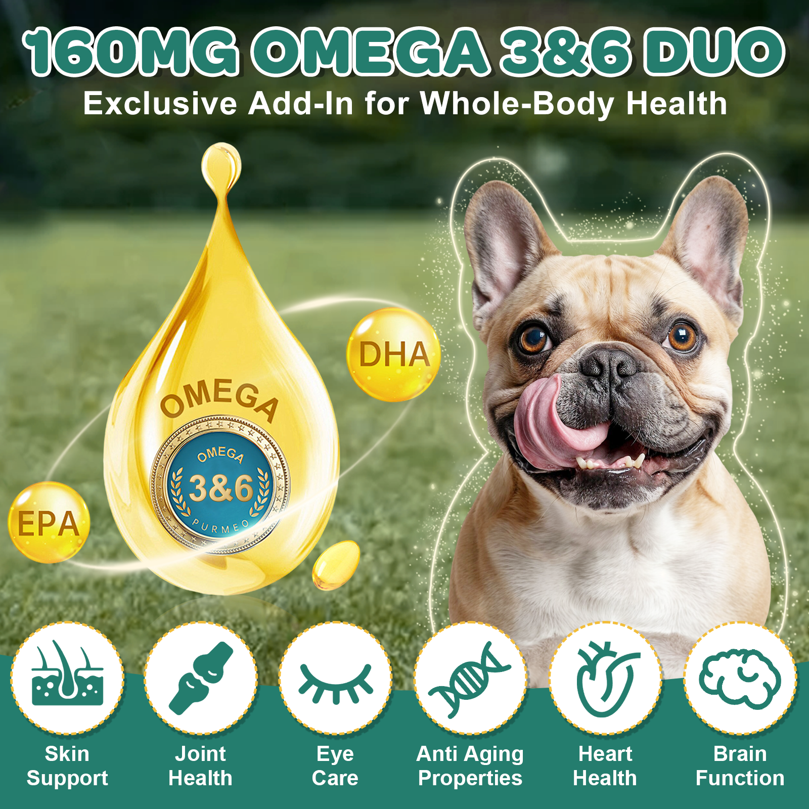 Probiotics for Dogs, Dog Probiotics with Digestive Enzymes, Prebiotics, Omega-3 & 6 and Vitamin for Dogs Digestive Health, 6 Billion CFUs, 180 Freeze-Dried Chews