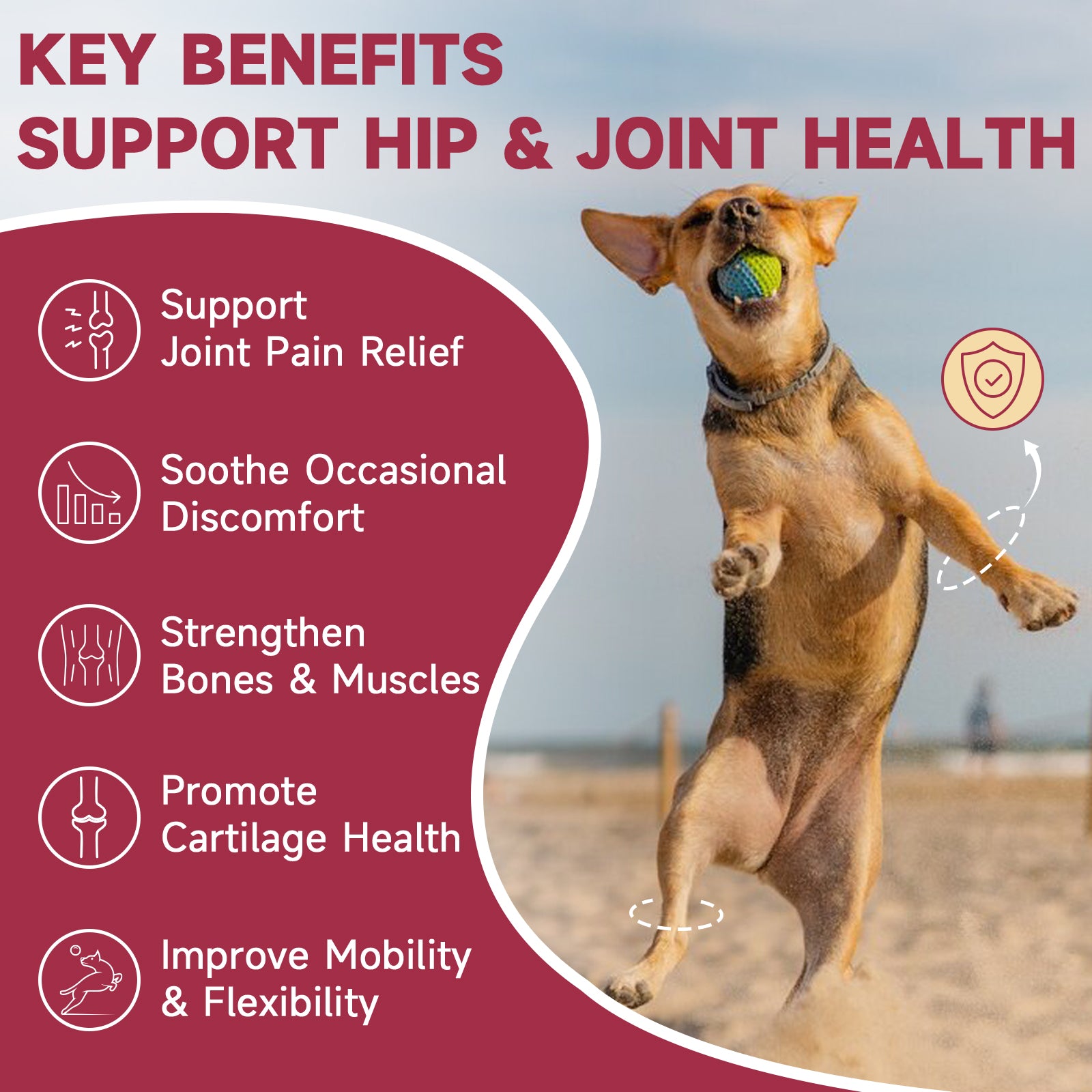 Dog Joint Supplement with Glucosamine, Chondroitin & MSM for Mobility & Joint Support, 180 Chews