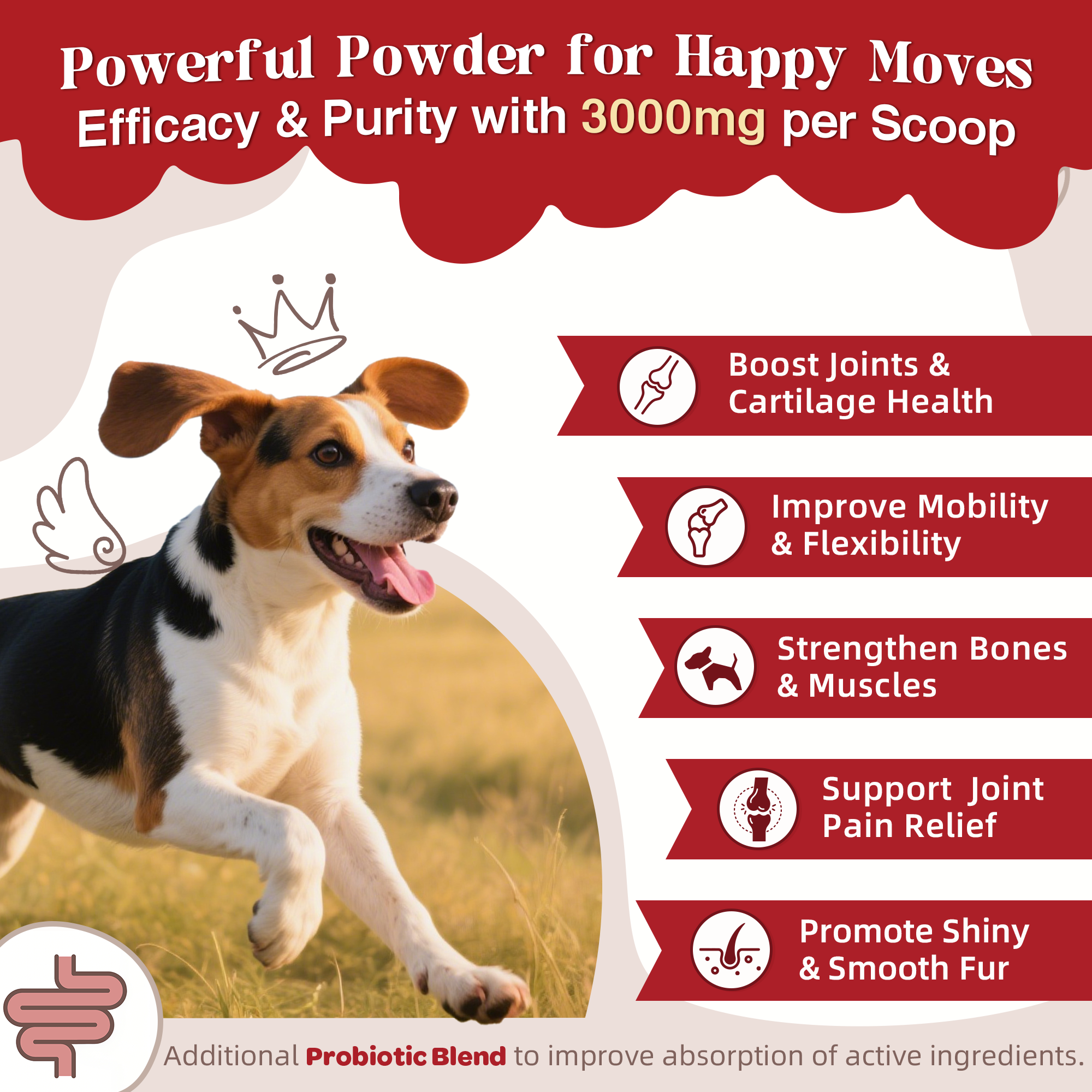 Joint Health Supplement for Dogs & Cats – Glucosamine, Chondroitin, MSM | Mobility & Hip Support – 270g - ZEBORA