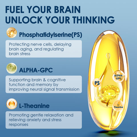 Omega-3 2000mg – DHA & EPA for Brain & Heart, 120 Softgels