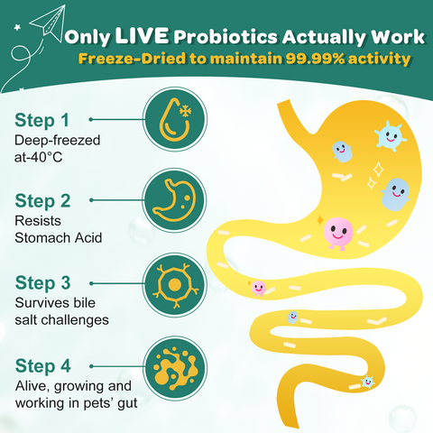 Probiotics for Dogs, Dog Probiotics with Digestive Enzymes, Prebiotics, Omega-3 & 6 and Vitamin for Dogs Digestive Health, 6 Billion CFUs, 180 Freeze-Dried Chews