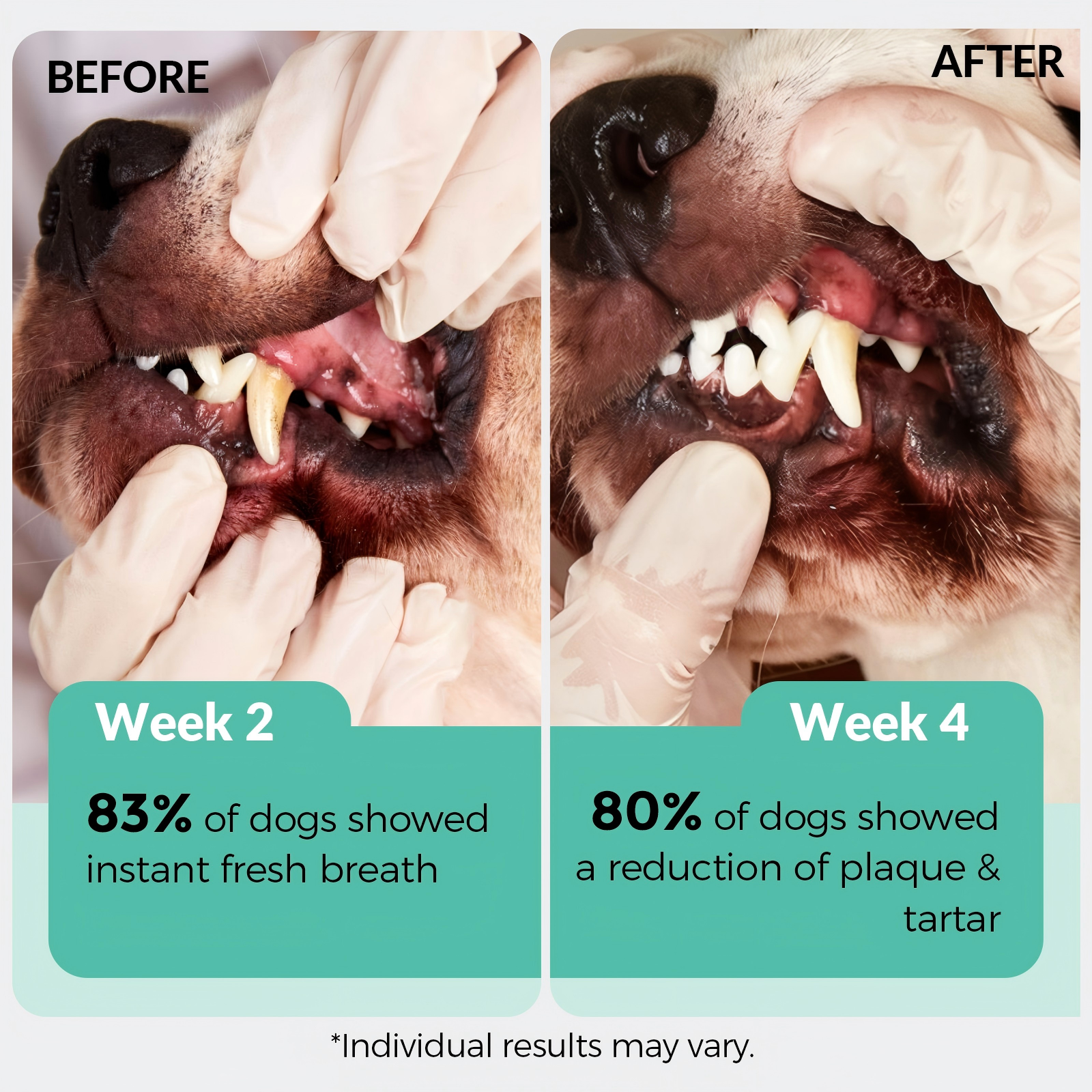 Dog Teeth Cleaning Powder 180g for Bad Breath, Plaque & Tartar, 6.35oz