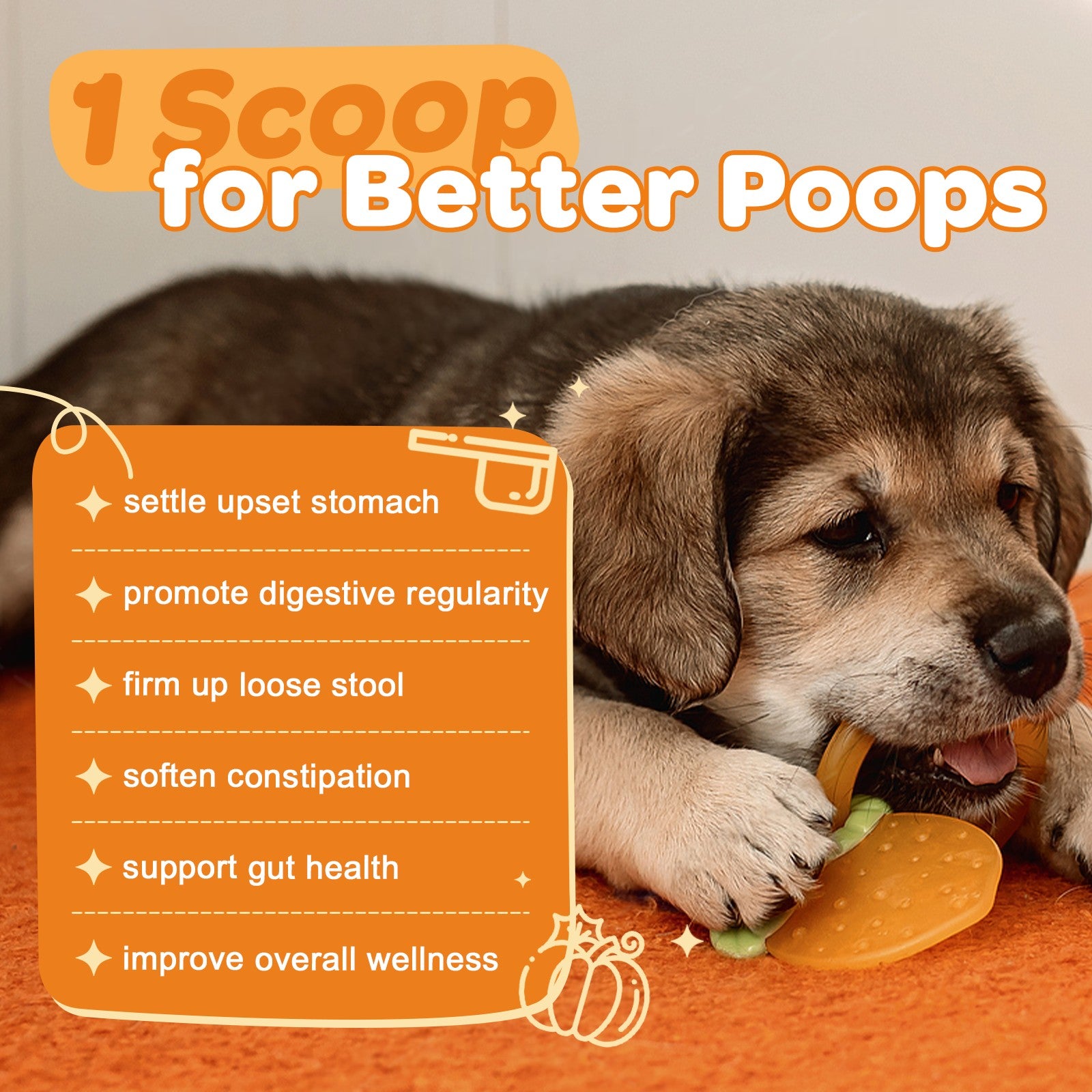 Pumpkin Fiber Mix for Dogs & Cats – Digestive Support – 10.58 oz - ZEBORA