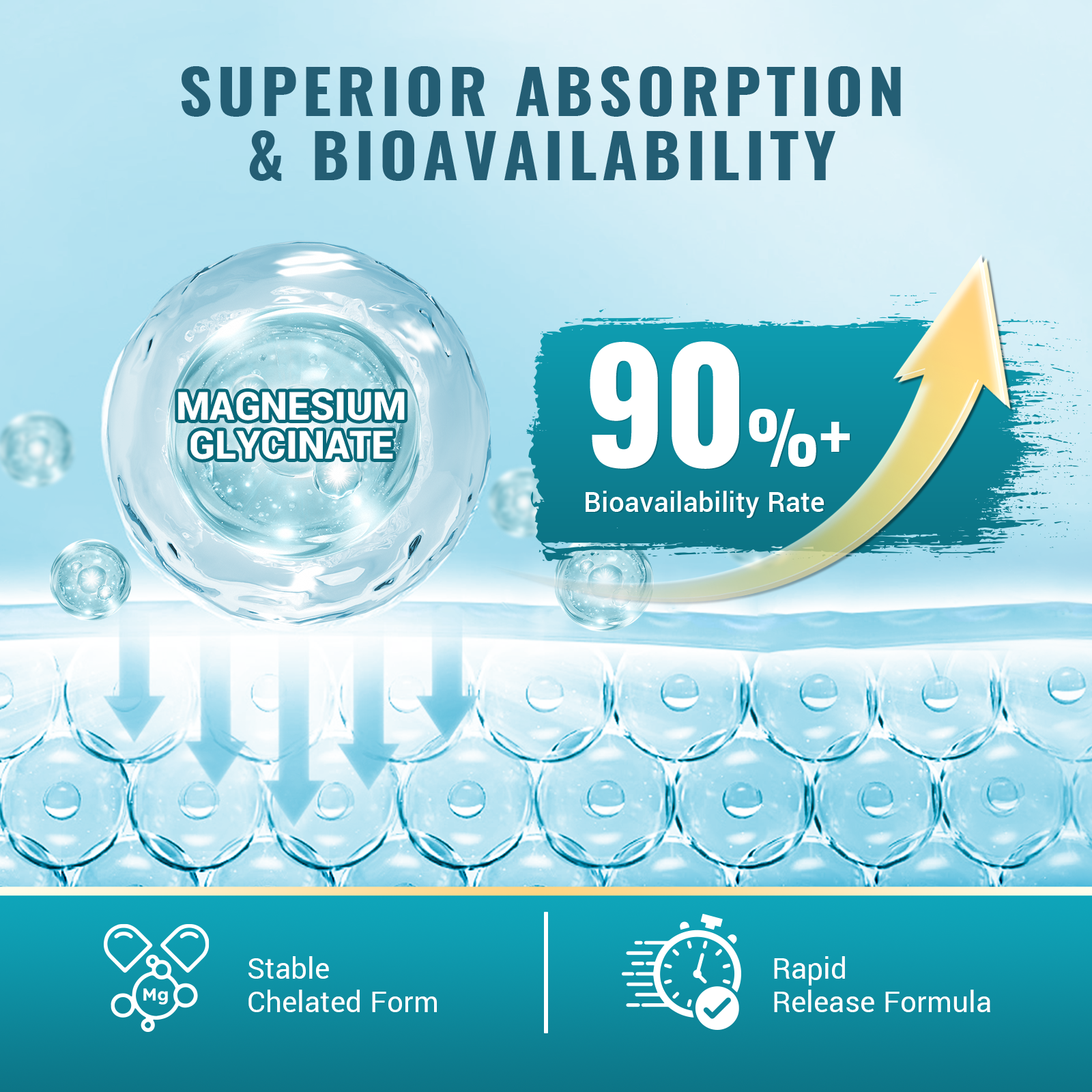 Magnesium Glycinate 500mg, High Absorption Magnesium Supplement with Vitamins B6 & D3, Chelated Magnesium Glycinate Capsules for Muscle, Heart, Calm & Immune Health, Non-Buffered, 120 Capsules