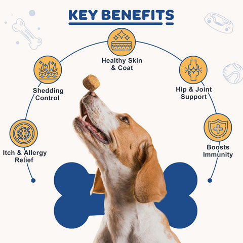 Salmon Oil for Dogs Skin and Coat - Omega 3 6 9 Fish Oil Soft Chews for Dogs Itchy Skin Relief - Dog Fish Oil Supplements EPA DHA Rich with Vitamins C & E - Allergy Relief & Shedding, 120 Ct