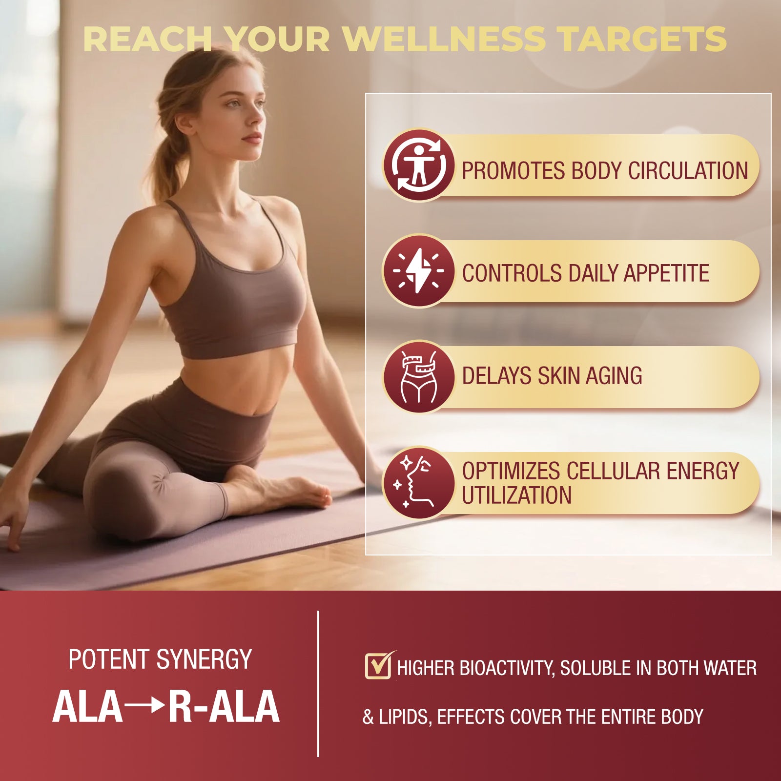 Dihydroberberine Complex with Ceylon Cinnamon and R-ALA for Immune and Heart Support, 120 Capsules