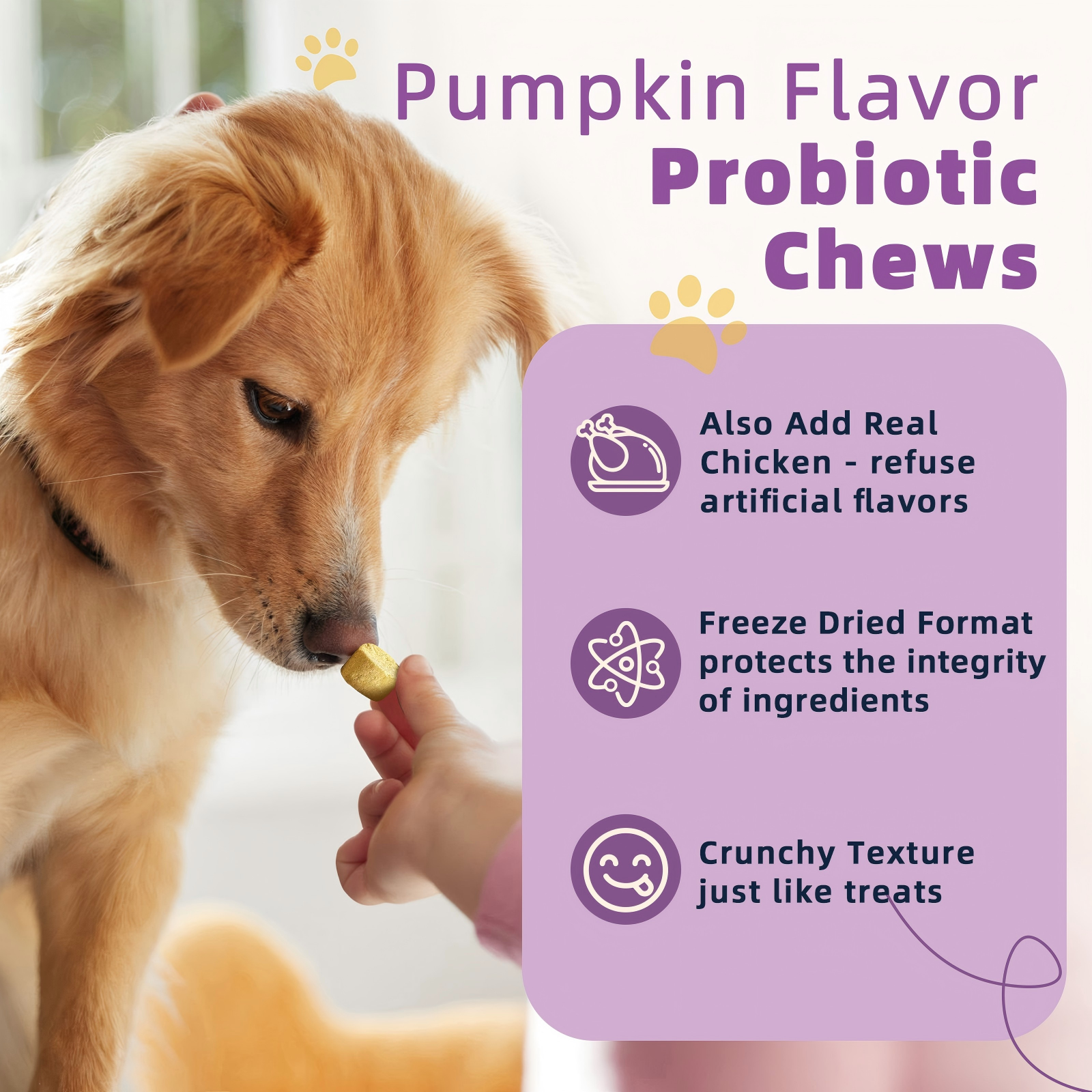 Dog Probiotics for Digestive Health, with Pumpkin, Digestive Enzymes, Omega-3, Support Gut, Immune Health, Upset Stomach Relief, 120 Freeze Dried Chews