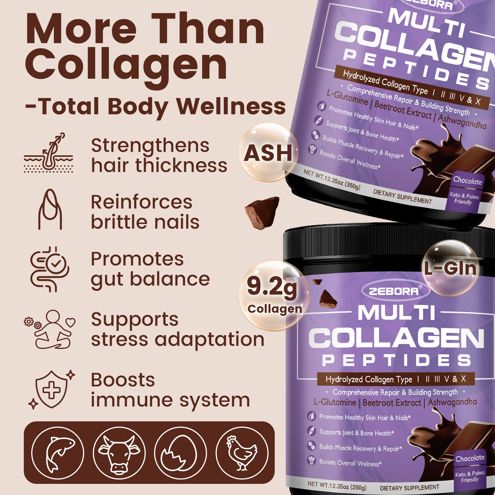 Chocolate Multi Collagen Peptides for Women, 35 Servings