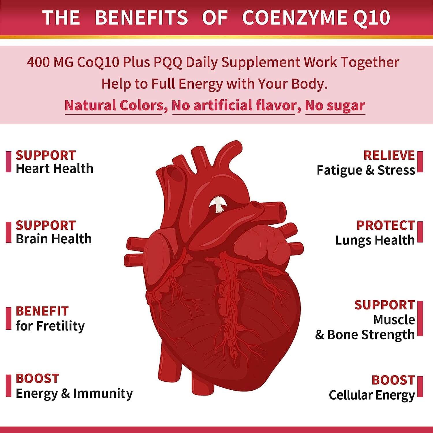 The benefits of Coenzyme Q10.