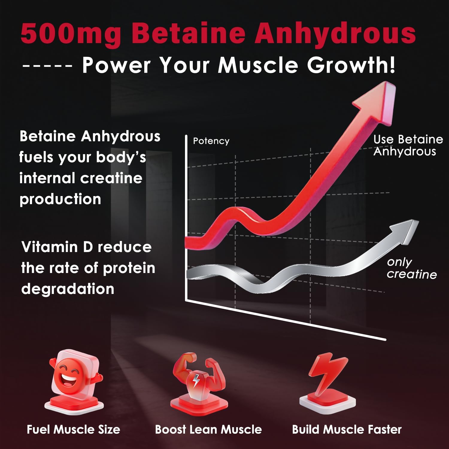 Creatine Monohydrate Powder – Strength, Muscle Growth & Recovery Support for Men & Women, 5g Creatine + 1g Taurine