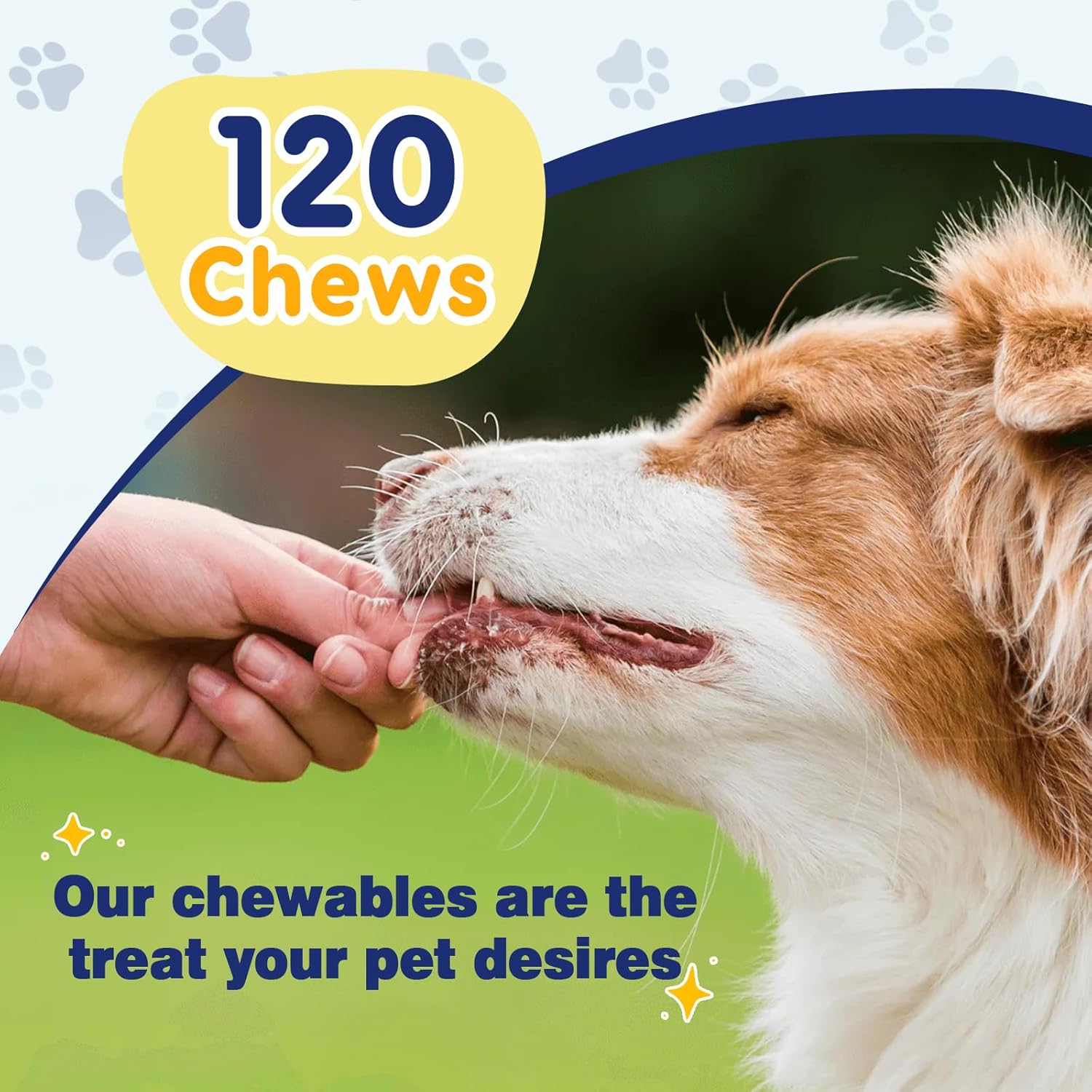 120 Chewable Fish Oil Tablets for Dogs & Cats