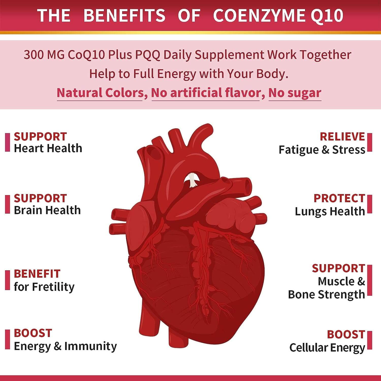THE BENEFITS OF COENZYME O10