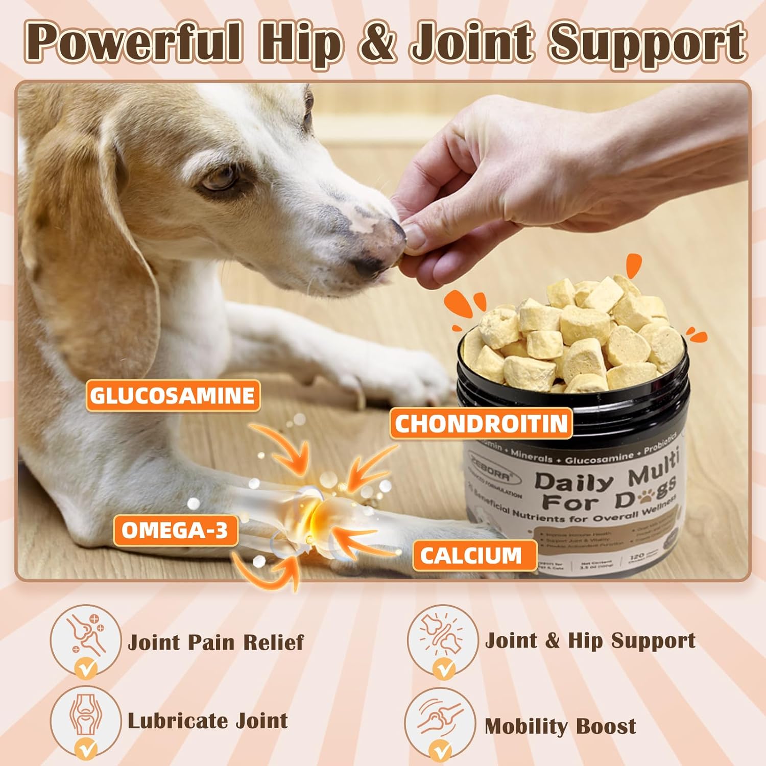 Zebora Dog Multivitamin Chews for Overall Health