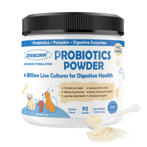 Probiotics for Dogs, Probiotic Powder with Pumpkin, Prebiotics & Digestive Enzymes, 6 Billion CFUs Dog Probiotics for Digestive Health, Gut & Immune Health, Chicken Flavor, 90 Scoops