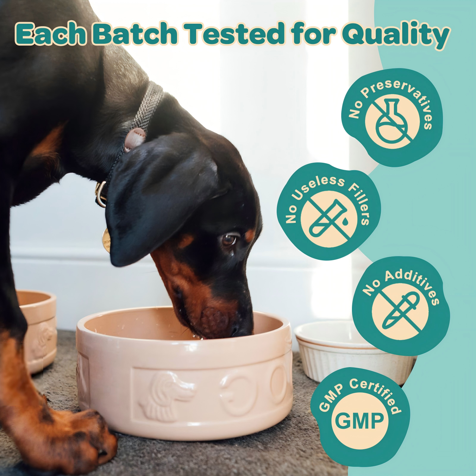 Probiotics for Dogs, with Colostrum, Omega-3, Dog Allergy Relief & Itching Skin Relief, Support Itchy Ears, Seasonal Allergies, Digestive, Immune Health, 90 Scoops, Chicken Flavor