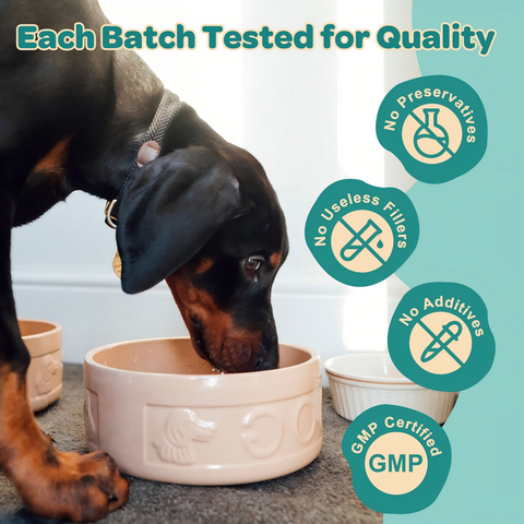Probiotics for Dogs, with Colostrum, Omega-3, Dog Allergy Relief & Itching Skin Relief, Support Itchy Ears, Seasonal Allergies, Digestive, Immune Health, 90 Scoops, Chicken Flavor
