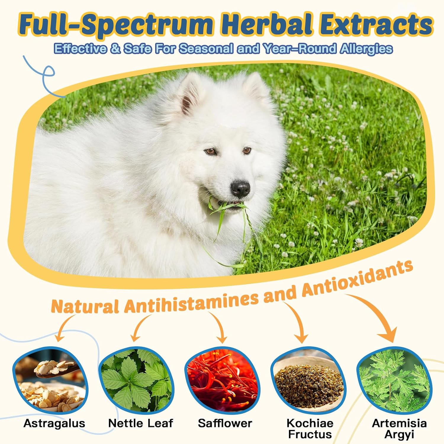 Dog Allergy Relief Chews with Probiotics Omega 3 and Colostrum Rel ZEBORA