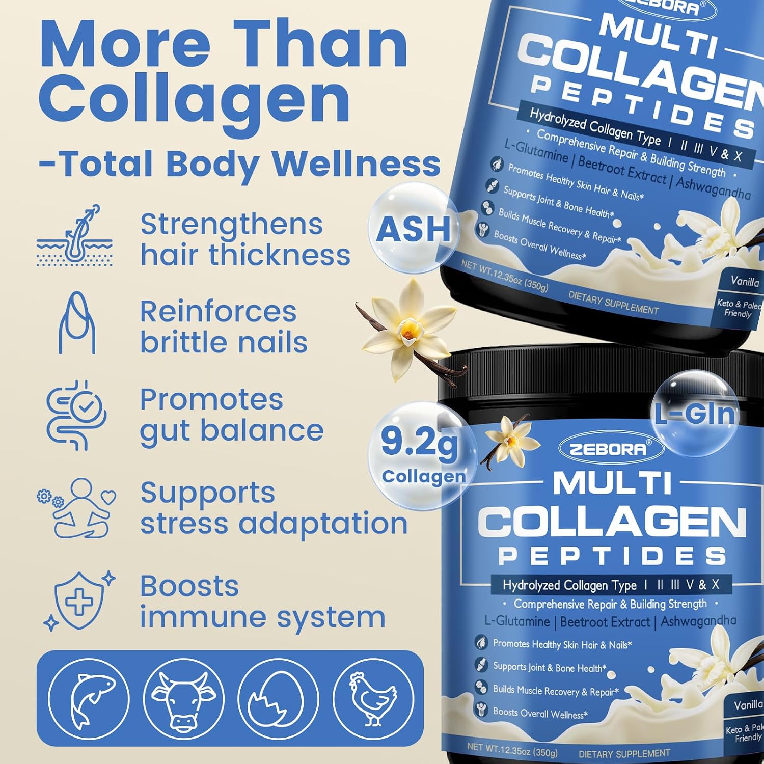 ZEBORA Multi Collagen Peptides, Vanilla Powder, 35 Servings