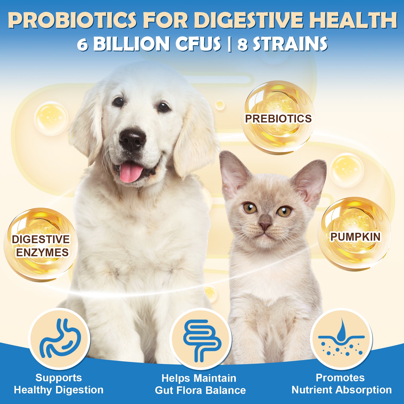 Probiotics for Dogs, Probiotic Powder with Pumpkin, Prebiotics & Digestive Enzymes, 6 Billion CFUs Dog Probiotics for Digestive Health, Gut & Immune Health, Chicken Flavor, 90 Scoops