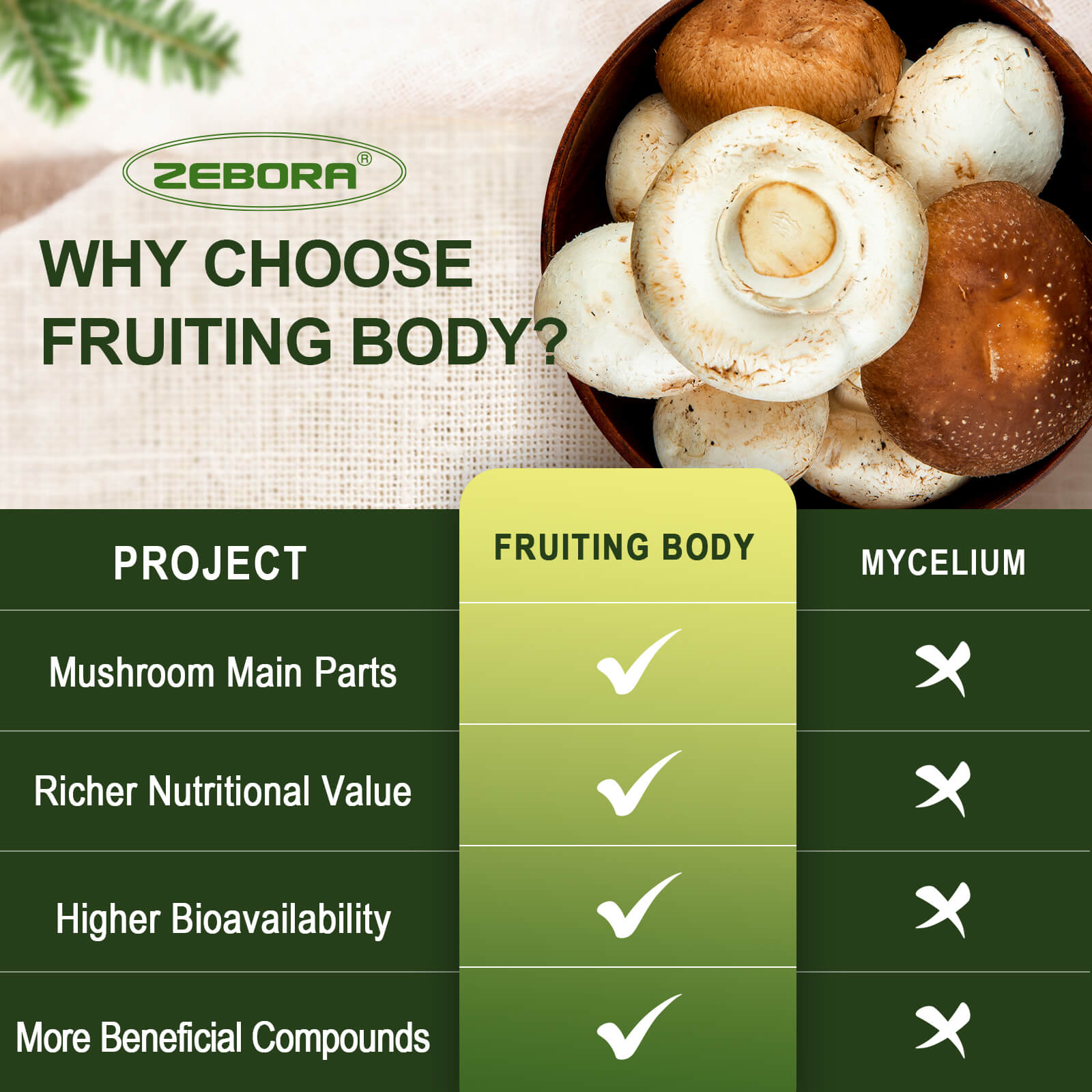 ZEBORA-Lion-Mane-Mushroom-Supplement-Chooses-Fruiting-Body