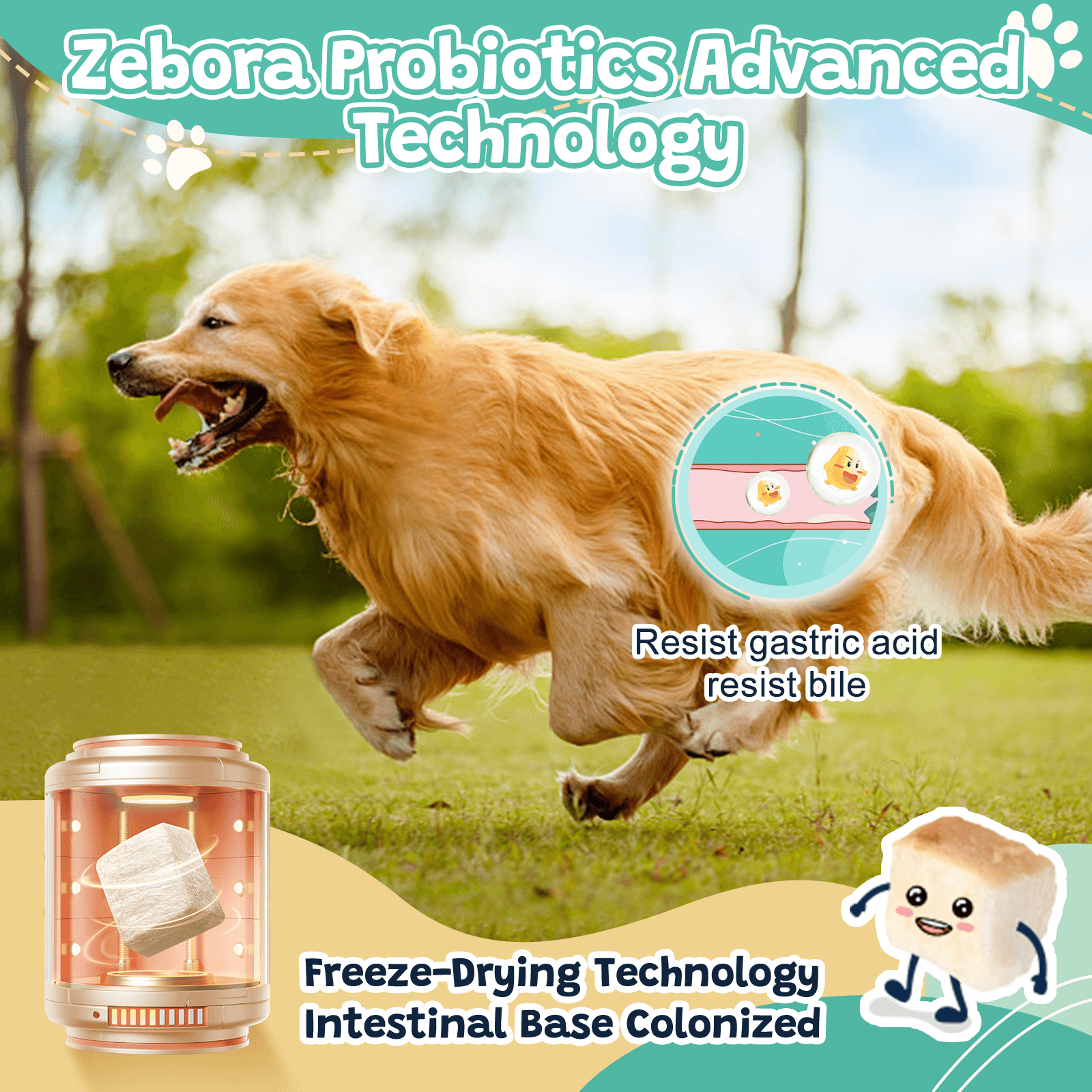 ZEBORA Probiotics for Dogs Digestive Health 120 Chews