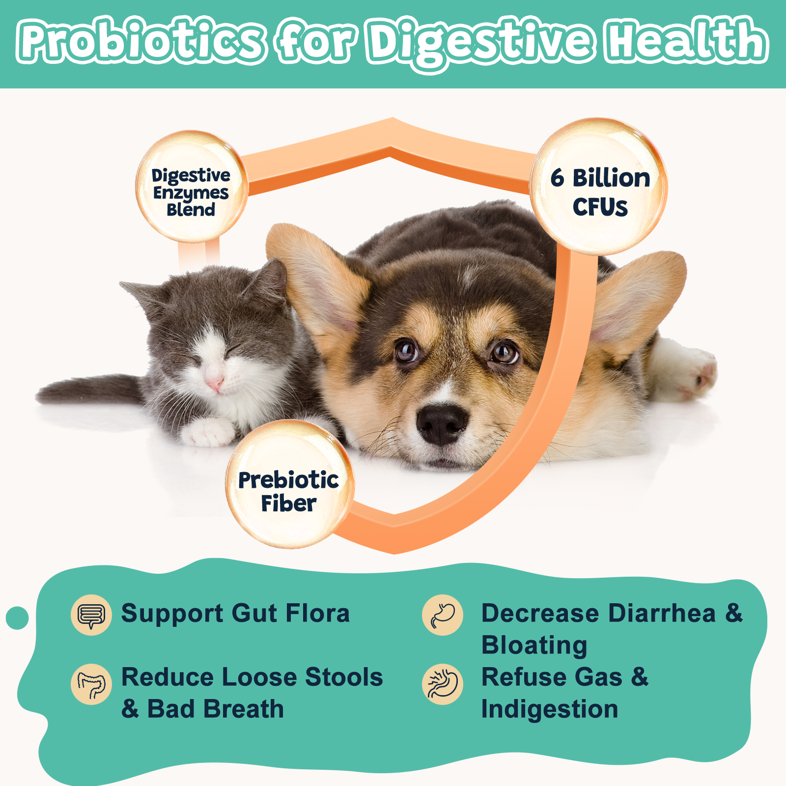 Probiotics for  Dogs and Cats' Digestive Health
