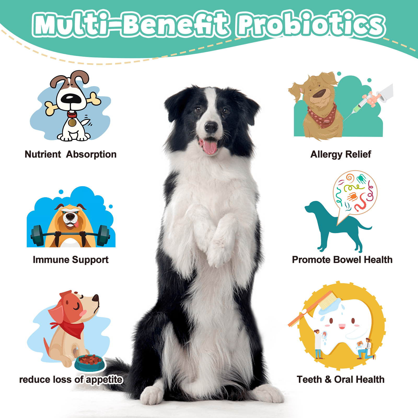 Multi-Benefit Probiotics for Dogs & Cats