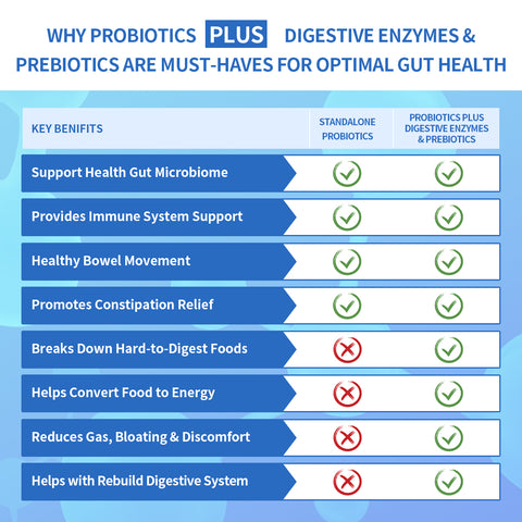 ZEBORA Probiotics 100 Billion CFU + Prebiotics for Adults